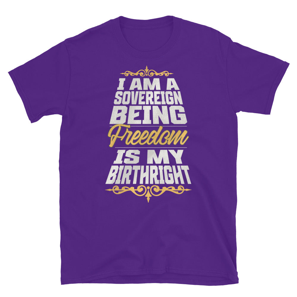 Sovereign Being TShirt - Purple Color - https://ascensionemporium.net